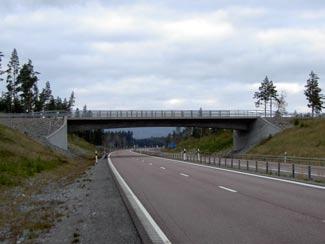 Parallellvägar och gång- och cykelvägar Med parallellvägar avses vägar som ersätter nuvarande direktutfarter och/eller som behövs för att samla ihop trafiken till en gemensam anslutning med ny väg 45.