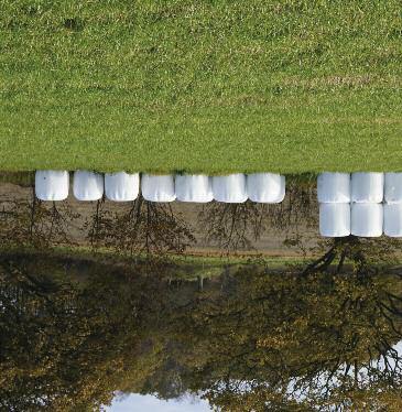 20 Slåttervallar för häst Grovfoder (hö eller ensilage) är basen i hästens foder. Ett bra grovfoder är smakligt, håller god hygienisk kvalitet och täcker stora delar av hästens näringsbehov.