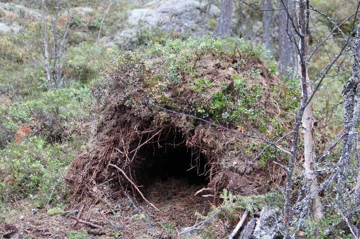 icke invasivt -> liten störning Databas som är gemensam för flera länder Högt förtroende