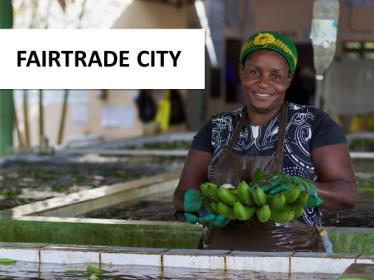 Den här presentationen är framtagen för dig som vill hålla en grundläggande presentation om Fairtrade City.