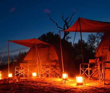 Inled ditt NYATI safariäventyr med en tre-dagars safarivandring i