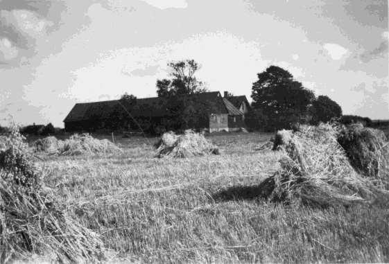 1959_Alfrida kör potatisårder