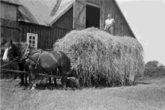 Håkansson 1948_Alfrida