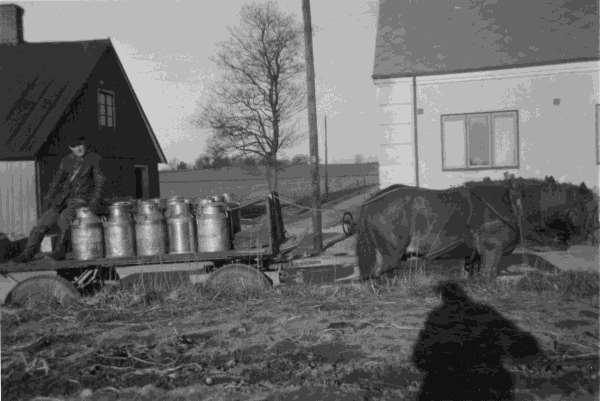 1948_Mjölkskjuts kör av N Frid som har