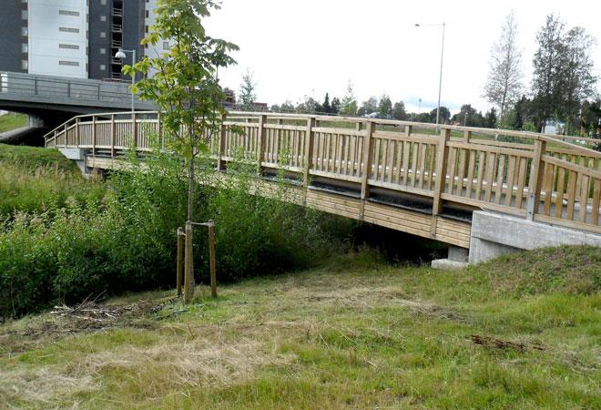 Figur 2: Gång- och cykelvägsbro i trä.