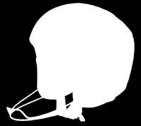goretex