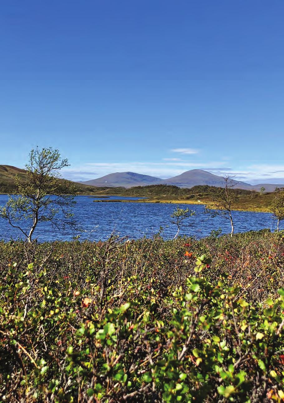 Vi når ut till samtliga hushåll i Härjedalen, och Klövsjö i Jämtland. Bladet finns även i butiker, turistanläggningar m.m. för turister och besökande och distribueras av oss själva och av Postnord.