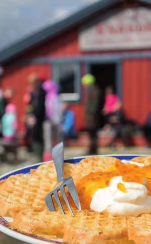 Fastighetsmäklare Rörosvägen 25, Funäsdalen.