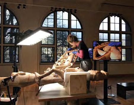tillämpningar Idealiska för restaurering av etnografiska föremål och konstföremål Dino-Lites digitala mikroskop kan vara lösningen för restaurering av arkeologiska artefakter och konstföremål.