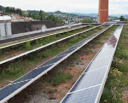 Tjockt grönt tak planterat med örter och gräs (Foto: Byggros) G8.