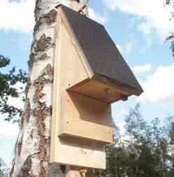 Vilka element som är aktuella beror på vilka biotoper som är viktiga att utveckla med hänsyn till den biologiska mångfalden på lokal/regional nivå.