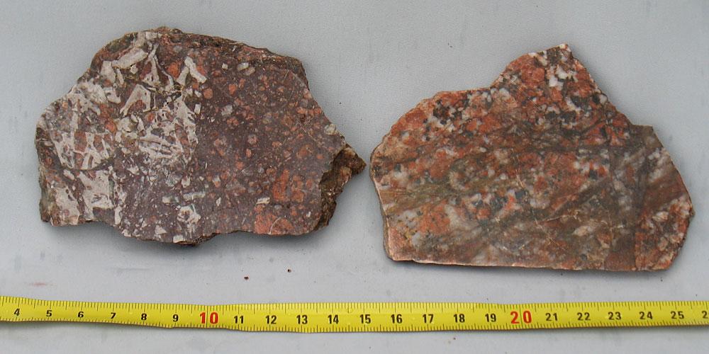 ! Bild 5. Baksidorna av plattorna från Bild 4. Jag har sänt prov av dessa omvandlade skal- den runda öppningen av röret med mörk kärna - till några paleontologer i Stockholm för ett utlåtande.