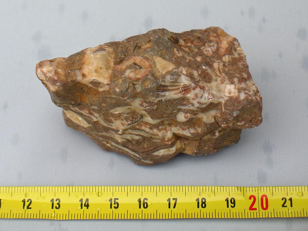 ! Bild 15. Siljansastroblemet. Icke förkislad fossilstuff från Dalhallaområdet Fig. 8 här nedan är tagen från en annan rapport, vilken har nummer /14/ i denna litteratursammanställning.