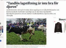 Djuren i livsmedelsindustrin På ett år dödas omkring 100 miljoner landdjur i den svenska livsmedelsindustrin.