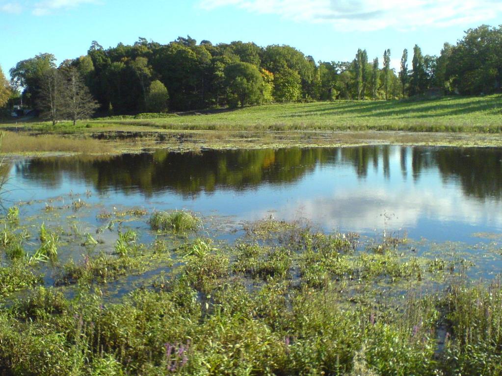 Areas of use Land use city planning Biodiversity monitoring