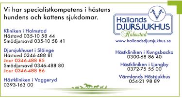 Förutom fri entré bjuder vi alla besökare på ett gratis travprogram och vi kommer även att dela ut ett tipsblad dessa tips kommer även att finnas på vår hemsida från torsdag kl.
