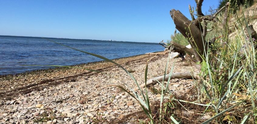Naturvårdsverket, Havs- och vattenmyndigheten, länsstyrelserna och vattenmyndigheterna har i samverkan tagit fram en myndighetsgemensam strategi för miljödatahantering i syfte att miljödata ska vara