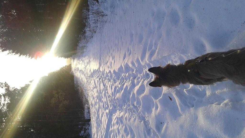 Foto: Leif