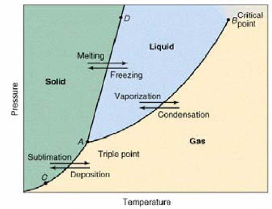 Exempel på enkomponentsfasdiagram Det