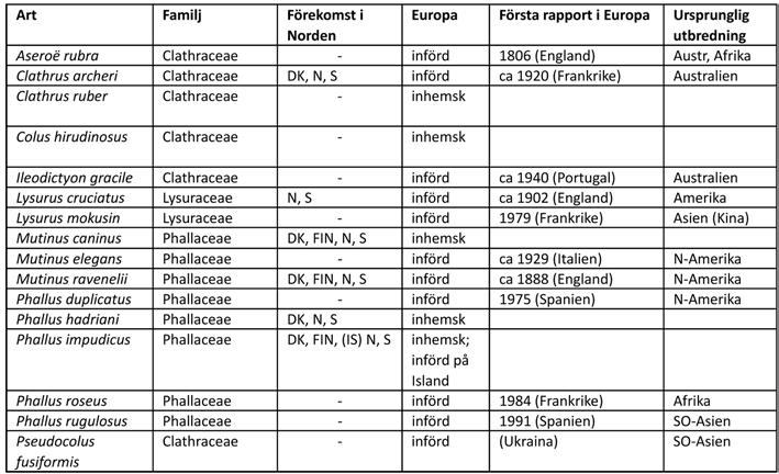Tabell 1. Stinksvampar i familjerna Clathraceae, Lysuraceae och Phallacae som förekommer i Europa (bearbetat efter Kreisel 2001, Pegler m fl 1995, Sarasini 2005).