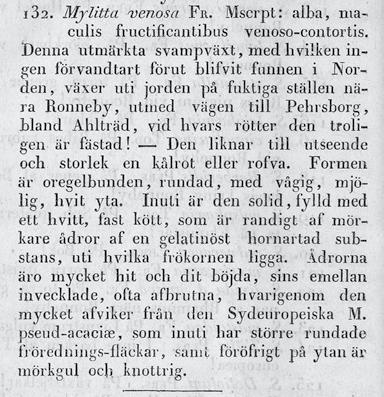 känner doftnyanser av ädeltryffel, som hos en mogen sommartryffel (Tuber aestivum), men fortfarande med en distinkt gummiton.