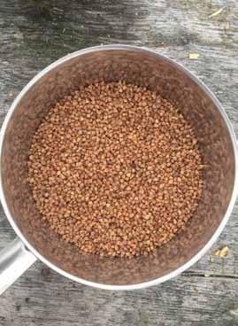 Recept Medan bovetet sjuder, hacka löken och stek den i olja tills den har fått färg.