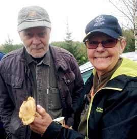 Svensk Mykologisk Tidskrift 37 (3): 67 68 2016 Svampvänner i österled Resor Gunilla Kärrfelt ABSTRACT Report from a mycological foray in Estonia.