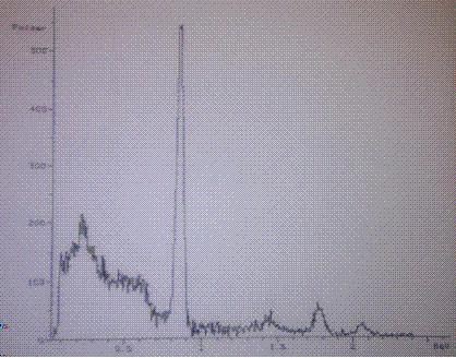 Aktivering av ett brunstensbatteri Efter aktivering i neutronkällan ger ett brunstensbatteri upphov till spektrat i figuren nedan.