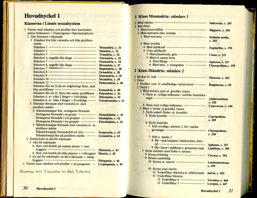 VÄXTSYSTEMATIK NYCKLING Världen: