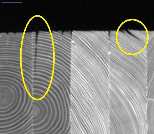 19 Figur 16 CT bild som visar variationen av spricktyper i en limträbalk som har varit utomhusexponerad i 20 år. 6.