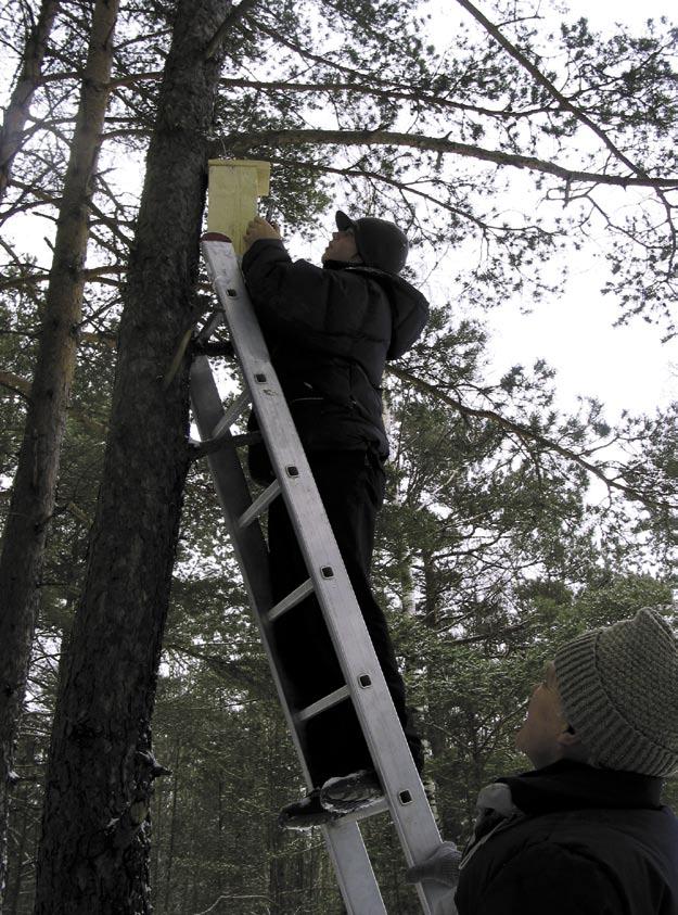 Sel kevadel pakkus Eesti Metsa tööstuse Liit Tallinna koolidele välja või maluse valmistada lindudele pesakaste.