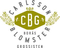 att marknadsföra ditt företag eller de
