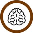 Din teoretiska drivkraft Den teoretiska dimensionen: Drivkraften att förstå, få ökad kunskap och finna "sanningen". Denna motivation kan ofta innebära en strävan efter kunskap för kunskapens skull.