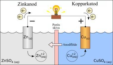 Glukosens metabolism i cellerna