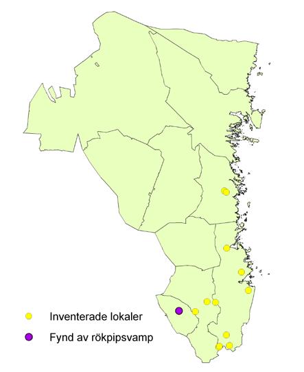 Resultat Av de 18 besökta lokalerna upptäcktes förekomst av rökpipsvamp (Urnula craterium) på en lokal, Grindberget vid Torsåker.
