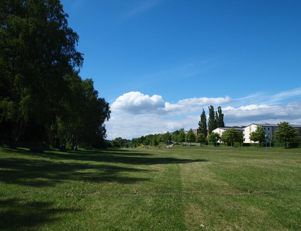 LANDSKAPSPARK (5-50 ha) NATUROMRÅDE NATURKVARTER (0,5-5 ha) Tenstadalen Solhemsskogen Hidingehöjden 12. Spångadalen 13.