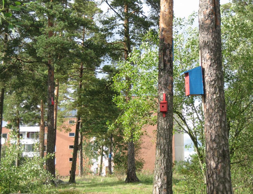 I brynen kan lekplatser och bollplaner förekomma. Sluten till halvsluten skogsmiljö ofta på höjdrygg.