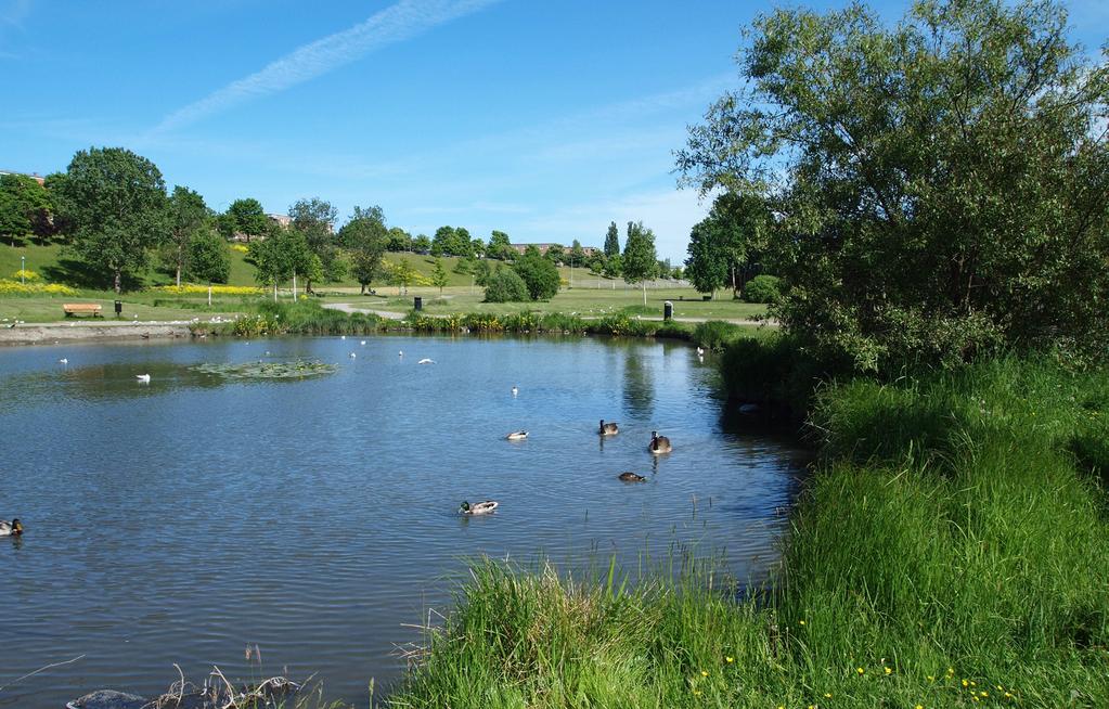 Råd och riktlinjer för ekologiska värden Ur Stockholms Parkprogram: Ekologiska värden ska utvecklas i samspel med andra värden. En sammanhållen grönstruktur i kontakt med landsbygden eftersträvas.