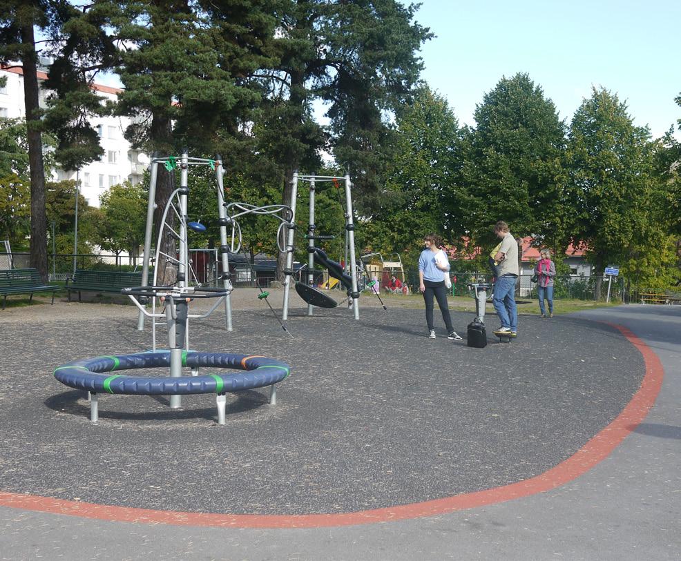 Nydalsparken är en av de parker som kräver en hög skötselintensitet. sedvanlig naturmark. Det finns behov av en ökad skötsel av dessa områden som idag delvis börjar växa igen.