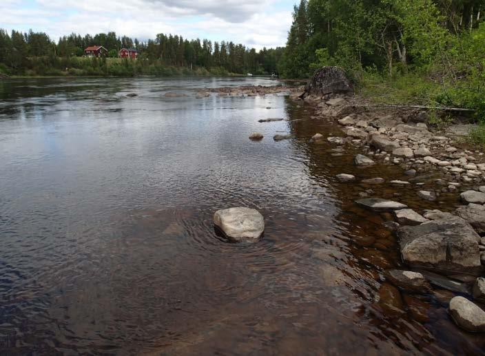 utloppskanal Uppväxt-