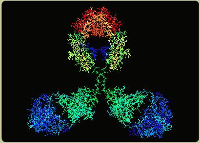 !! Biologics:)Molecular)Complexity)! Biologics: Molecular Complexity!