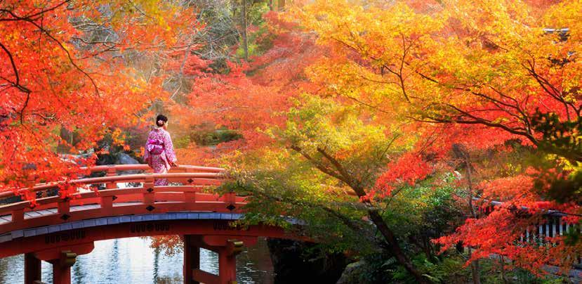 Club Eriks noga utvalda upplevelser Kina, Sydkorea & Japan Sju hamnar, mängder av upplevelser Shanghai Peking Seoul Jeju Island Kobe Kyoto Fuji Tokyo Upplev höstens vackra färger i Asien.