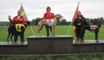 Svenskt Greyhound Derby Årets Greyhound Derby var liksom i fjol öppet för 24 hundar över tre ronder.
