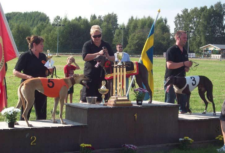 Svenskt Greyhound Derby 2010. Fr. v. tvåa O'Såfina, Jane Pettersson,, 32.56, segraren Talisker, Maria Blomkvist,, 32.54, trea Hades Pearl, Palle Andersson, 7HS, 32.97.