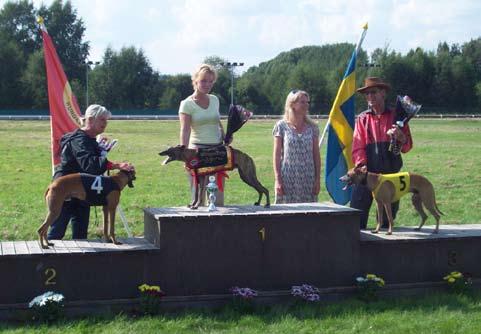 Reflection kommer in som fyra och Curry Kanon som femma. Atlas Gotcha kommer också i mål så småningom, men tråkigt nog med en ordentlig skada i ett bakben.