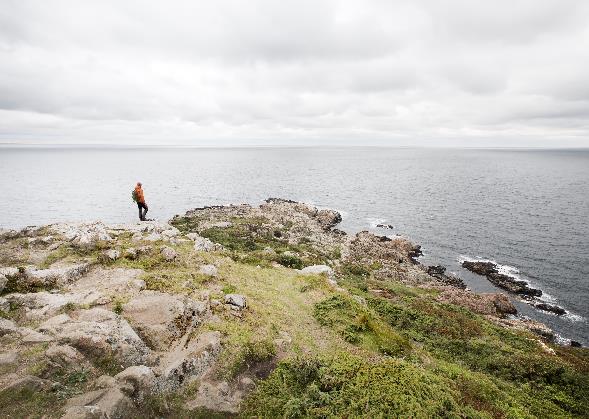 TRENDER De viktigaste trenderna som bedöms ha en positiv inverkan på inkommande naturturism till Sverige är främst: Semestern som en tid för personlig utveckling Soft adventure - ökad efterfrågan på