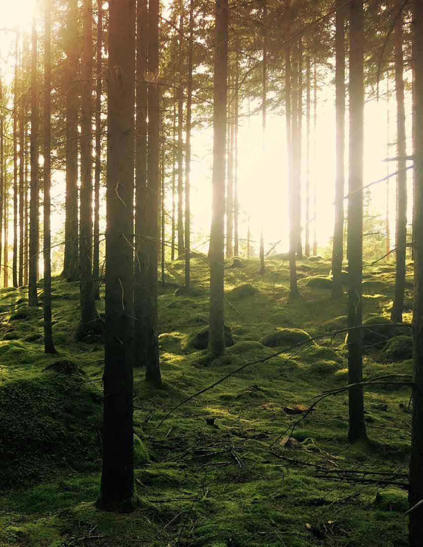 Miljö LIVET ÄR BÄTTRE HÄR UTE LÅT OSS TA VÄL HAND OM DET Alla TimberTech s