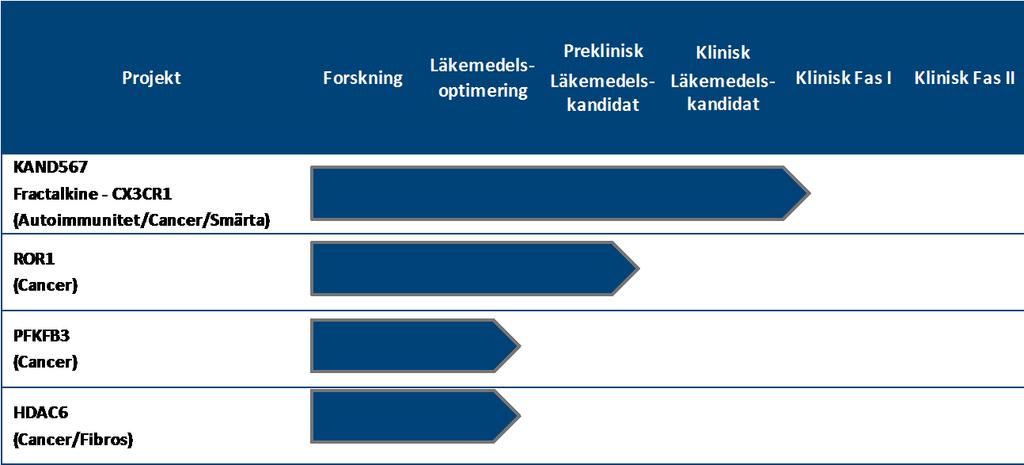 LÄKEMEDELSUTVECKLING Bolaget har fyra läkemedelsprojekt i portföljen: KAND567 - Blockerare av Fractalkinereceptorn CX3CR1 för behandling av autoimmuna sjukdomar, smärta och cancer.