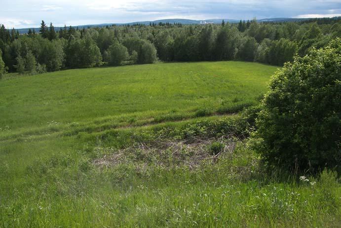 Landskapet Indalsälvens mynningsområde och delta bildar botten i ett storskaligt landskap som är den norra entrén till hela Sundsvallsdistriktet.