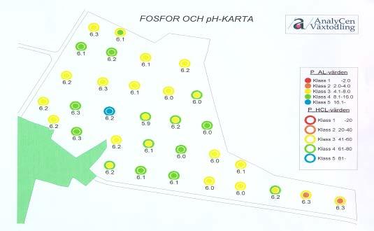 morgon biologisk karaktär?